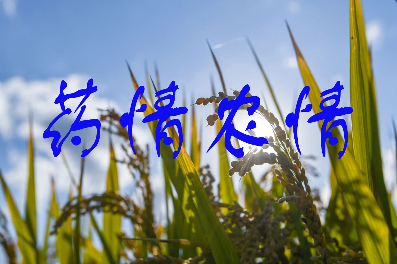 草甘膦供应偏紧价格上调，氯虫苯甲酰胺等原药价格下跌