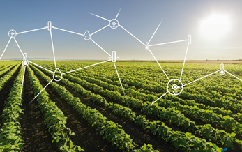 Bayer CropScience to release 4 new products in China